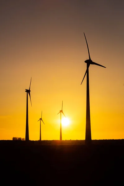 日落时许多风力涡轮机矗立在田里发电 — 图库照片