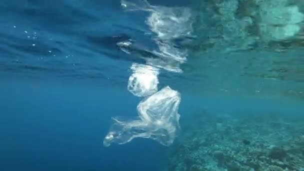 プラスチック廃棄物は海を漂流し 環境を汚染します — ストック動画