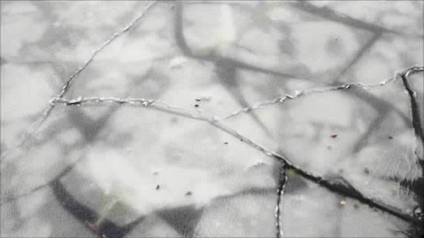 Ledové Kry Jezeře Při Mrazivých Teplotách — Stock video