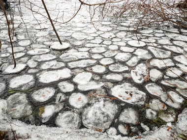 Buz dondurucu soğukta gölde yüzer.