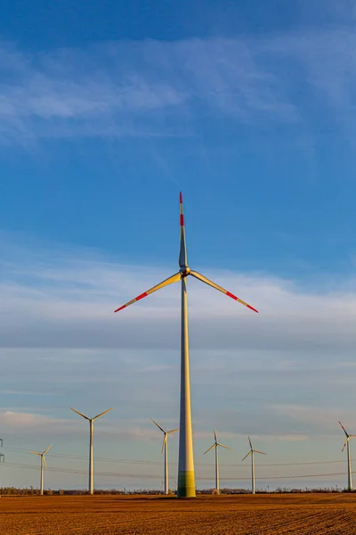 Büyük bir tarla ve rüzgar türbinleri. Yazın mavi gökyüzü.