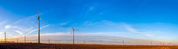 Panorama Nombreuses Éoliennes Coucher Soleil Été — Photo