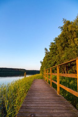 Etrafı ormanlarla çevrili bir göl.