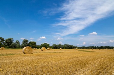 Bir sürü saman balyası ve hasat zamanı olan büyük bir tarla.