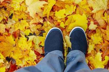 Renkli akçaağaç yaprakları ve ayakları olan bir sonbahar arkaplanı