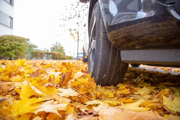 Una Macchina Parcheggiata Una Zona Con Sacco Fogliame Foto Stock