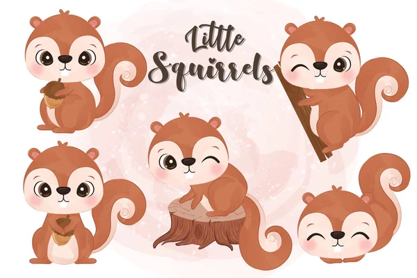Entzückende Kleine Eichhörnchen Clip Art Aquarell Illustration Gesetzt — Stockvektor