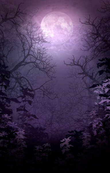 Fairytale, purple, background with bright big moon in clouds, night enigmatic landscape with magic fog, mystic dark nature with silhouettes, frightening dense forest with branches tree and bushes.