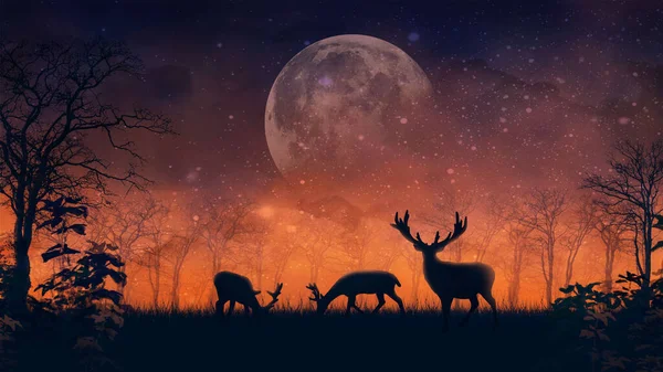 美丽的风景 鹿和树的轮廓 神秘的夜晚森林 多汁的橙色天空和大月亮 神奇的大自然 动物和植物 迷人的背景 火热的黎明 — 图库照片