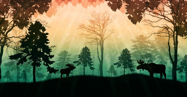 用麋鹿和树木的轮廓描绘大自然的神奇图景 用橙色翡翠的天空和明亮的光芒描绘神秘的黑暗森林 黎明时分阳光灿烂的仙境 — 图库照片#