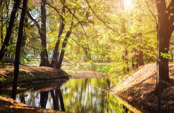 Krásná Podzimní Krajina Řeka Lese — Stock fotografie