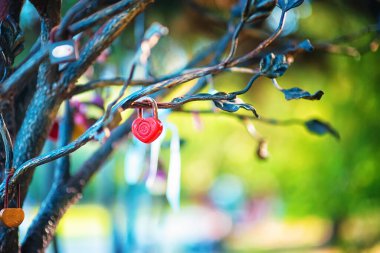 Romantik bir çift için bulanık bir arka planda metal bir ağacın üzerinde kırmızı bir kalp şeklinde bir kale. Sevgililer Günü konsepti