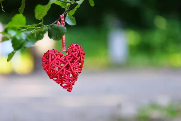 Beautiful Red Decorative Heart Tree Branch Blurred Background Valentine Day — Stock Photo, Image