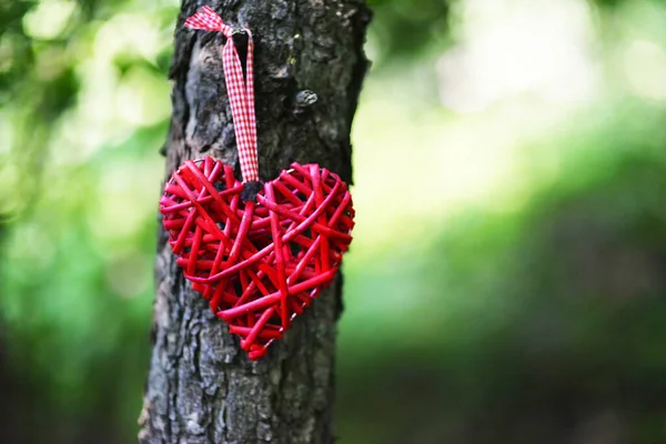 Corazón Rojo Decorativo Colgando Tronco Árbol Sobre Fondo Natural Borroso — Foto de Stock