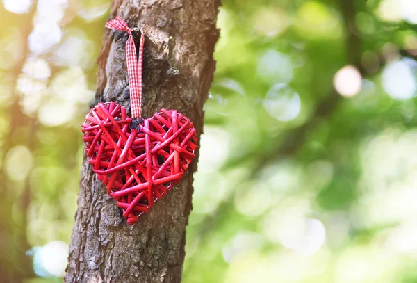 Corazón Rojo Decorativo Colgando Tronco Árbol Sobre Fondo Natural Borroso — Foto de Stock