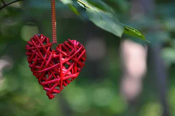 Hermoso Corazón Rojo Decorativo Una Rama Árbol Sobre Fondo Borroso — Foto de Stock