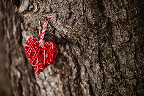 Corazón Rojo Decorativo Colgando Tronco Árbol Sobre Fondo Natural Borroso — Foto de Stock