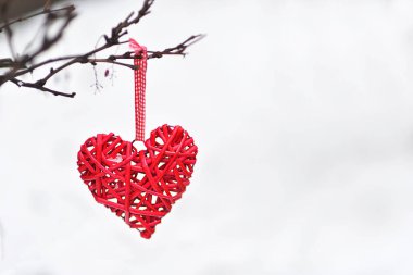 Sevgililer Günü geçmişi. Kırmızı kalp, karla kaplı bir dala karşı