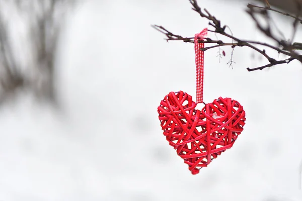 День Святого Валентина Червоне Серце Гілці Тлі Снігу — стокове фото
