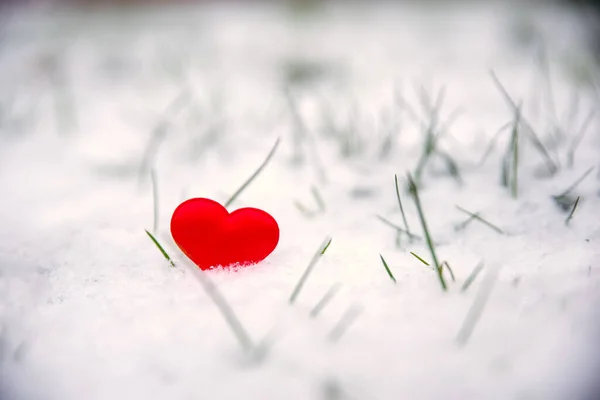 Rode Harten Witte Sneeuw Valentijnsdag Concept Symbool Van Liefde — Stockfoto