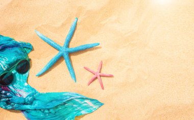 Sıcak ve güneşli bir günde deniz kenarında iki denizyıldızı. Yaz arkaplanı