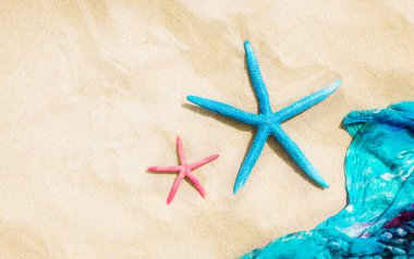 Sıcak ve güneşli bir günde deniz kenarında iki denizyıldızı. Yaz arkaplanı