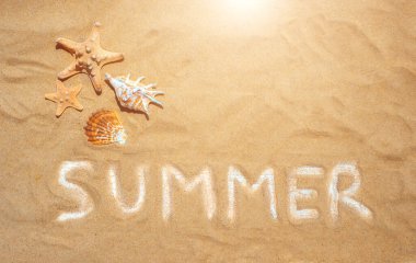 Yaz tabelası, deniz kabukları, kumlu arka planda deniz yıldızı. Flatlay, üst manzara. Yaz arkaplanı.