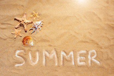 Yaz tabelası, deniz kabukları, kumlu arka planda deniz yıldızı. Flatlay, üst manzara. Yaz arkaplanı.