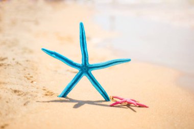 Sıcak ve güneşli bir günde deniz kenarında iki denizyıldızı. Yaz arkaplanı