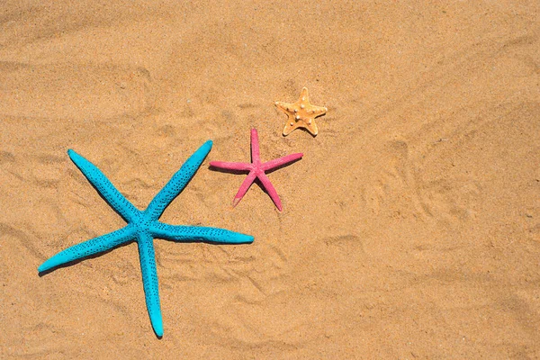 Kumlu Arka Planda Çok Renkli Deniz Yıldızları Yaz Arkaplanı — Stok fotoğraf