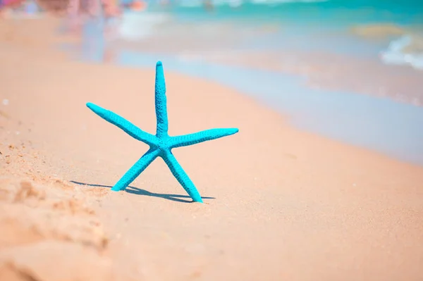 Blue Starfish Sandy Seashore Sea Background — Stok fotoğraf