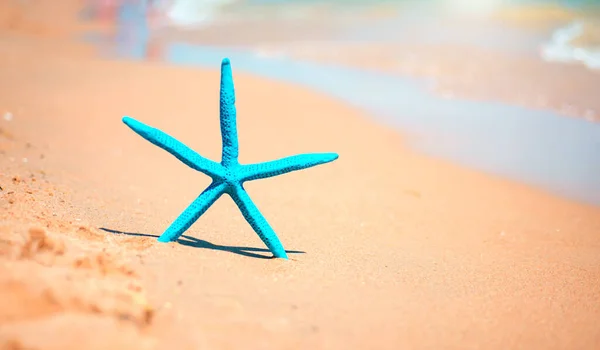 Blue Starfish Sandy Seashore Sea Background — Stok fotoğraf