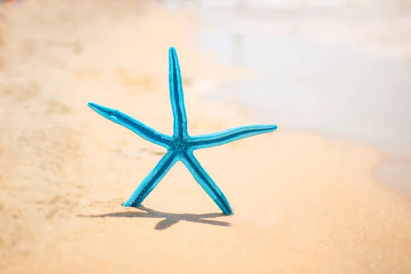 Blue Starfish Sandy Seashore Sea Background — Stok fotoğraf