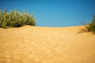 Sand dunes and blue sky. Natural background
