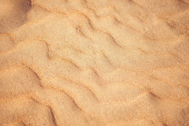 Yüksek çözünürlüklü kum dokusu. Arka plan için kumsal. Üst görünüm 