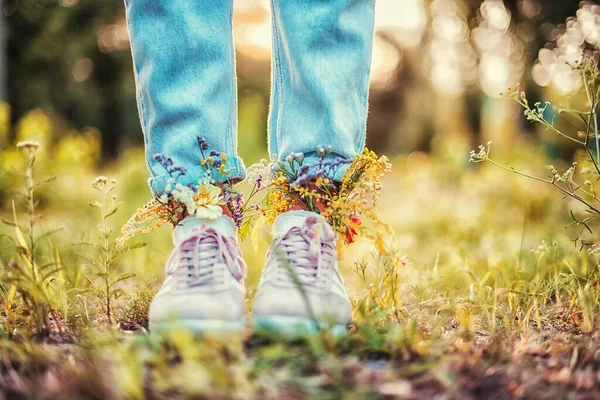 Красивые Полевые Цветы Обуви Летнем Поле Летний Фон — стоковое фото