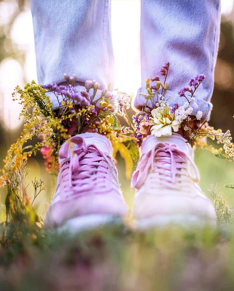 Красивые Полевые Цветы Обуви Летнем Поле Летний Фон — стоковое фото