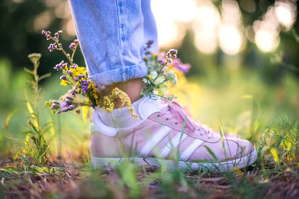 Lindas Flores Silvestres Sapatos Campo Verão Fundo Verão — Fotografia de Stock