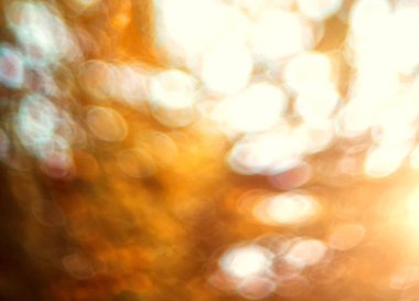 Bokeh ile bulanık sarı-yeşil arka plan. Doğal arkaplan