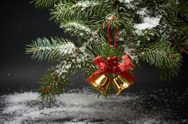 Çanları olan bir Noel süslemesi, Noel ağacının bir dalı ve siyah arka planda yapay kar.