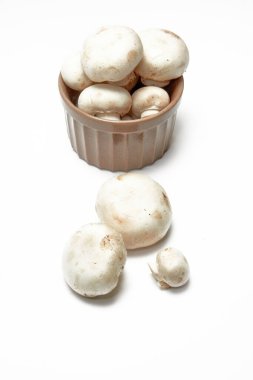 Beyaz mantarlar arka planda şampiyonlar.