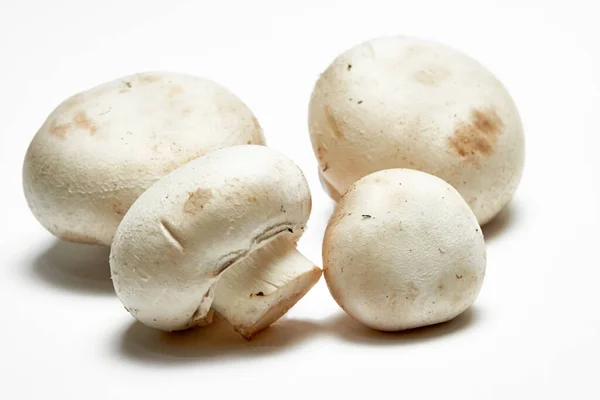 White mushrooms champignons on a light background. — Stock Photo, Image