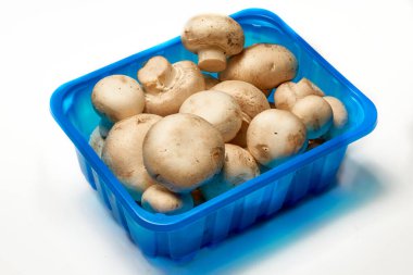 Plastik bir kapta arka planda Porcini şampiyonları.