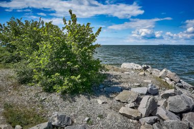 Rezervuarın Rocky Sahili