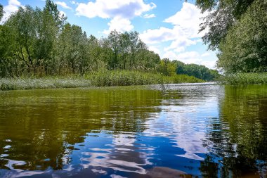 Güneşli bir günde durgun su