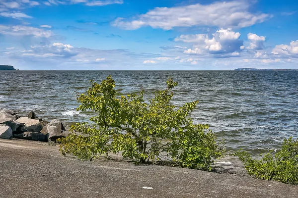 Rivage Rocheux Réservoir — Photo