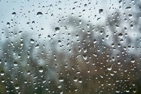 Drops Rain Glass — Stock Photo, Image