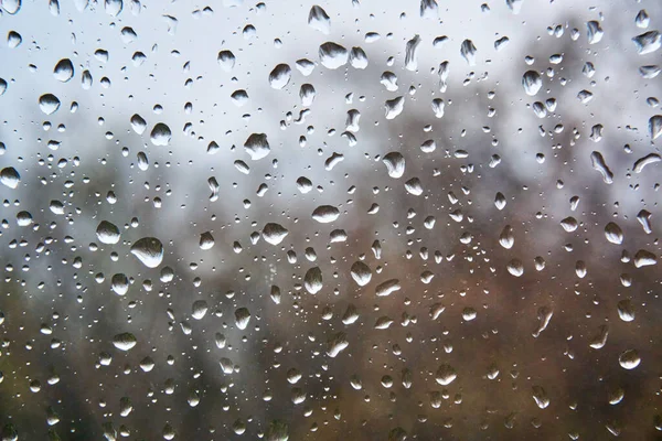 Regentropfen Auf Dem Glas — Stockfoto