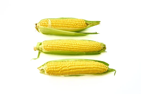 Young Appetizing Corn Cob Peeled White Background — Stock Photo, Image