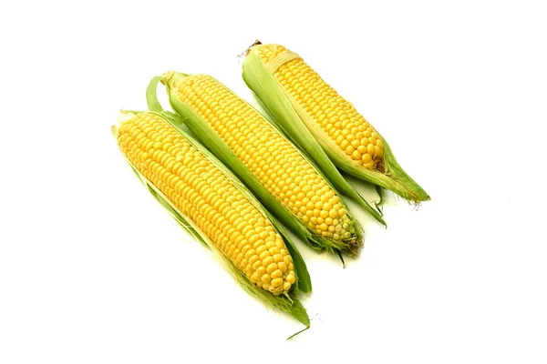 Young appetizing corn on the cob and peeled on a white background. — Stock Photo, Image